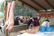2014_11_casar_periedo_049