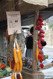 2014_11_casar_periedo_063