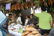 2014_11_casar_periedo_076