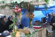 2014_11_casar_periedo_114