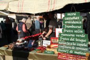 2015_11_casar_periedo_018