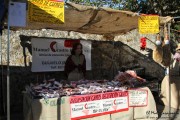 2015_11_casar_periedo_064