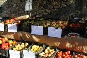 2015_11_casar_periedo_065