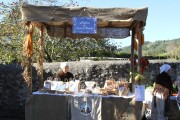 2015_11_casar_periedo_127