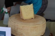2024_09_feria_qes_004