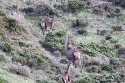 2015_10_finde_liebana_berrea_002