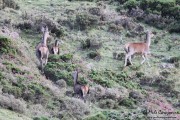 2015_10_finde_liebana_berrea_005