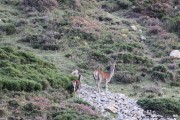 2015_10_finde_liebana_berrea_007