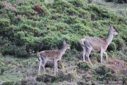 2015_10_finde_liebana_berrea_009