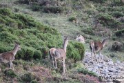 2015_10_finde_liebana_berrea_010