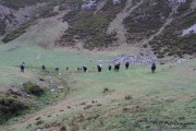 2015_10_finde_liebana_berrea_019