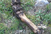 2015_10_finde_liebana_valdeon_018