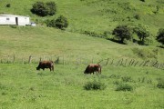 2018_07_lejuca_front_001