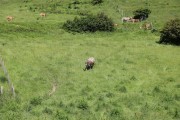 2018_07_lejuca_front_004