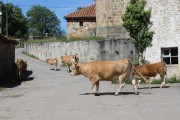 2018_07_lejuca_front_016