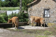 2018_07_lejuca_front_017