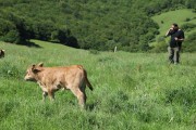 2018_07_lejuca_front_023