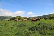 2018_07_lejuca_front_028