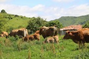 2018_07_lejuca_front_029
