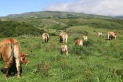 2018_07_lejuca_front_030