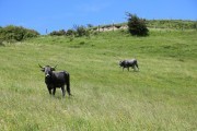 2018_07_lejuca_front_039
