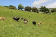 2018_07_lejuca_front_043