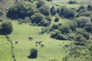 2018_07_lejuca_front_053