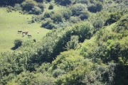2018_07_lejuca_front_054