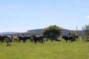 2018_07_lejuca_front_056