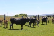 2018_07_lejuca_front_058