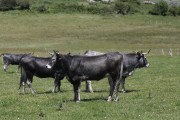 2018_07_lejuca_front_072
