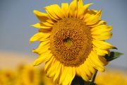 entorno_002
