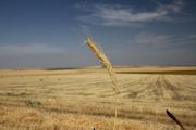 entorno_006