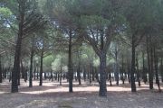 entorno_008