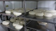 2025_05_granja_sierra_queso_003