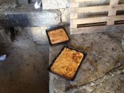 haciendo_pan_castroverde_1027