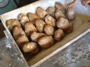 haciendo_pan_castroverde_1031