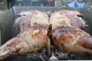 2016_09_hechu_liebana_011