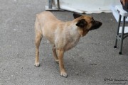 2016_09_hechu_liebana_073