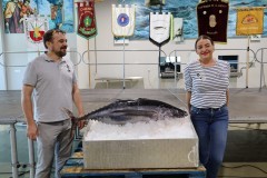 2019_09_cofradia_nombramient_038_mulecarajonero