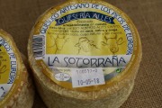 2017_07_afca_expositore_018