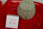 2017_07_afca_queso_022