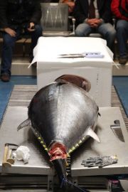 IMG_1754