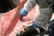 IMG_1853