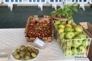 08_2015_cocinas_marineras_004