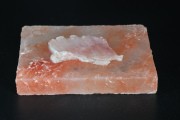 2021_08_contuber_ii_jr_001