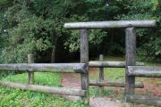 IMG_0018
