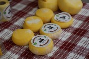 2019_08_ii_feria_queso_santander_003_mulecarajonero