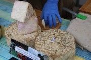 2019_08_ii_feria_queso_santander_015_mulecarajonero