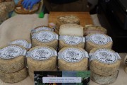 2019_08_ii_feria_queso_santander_016_mulecarajonero